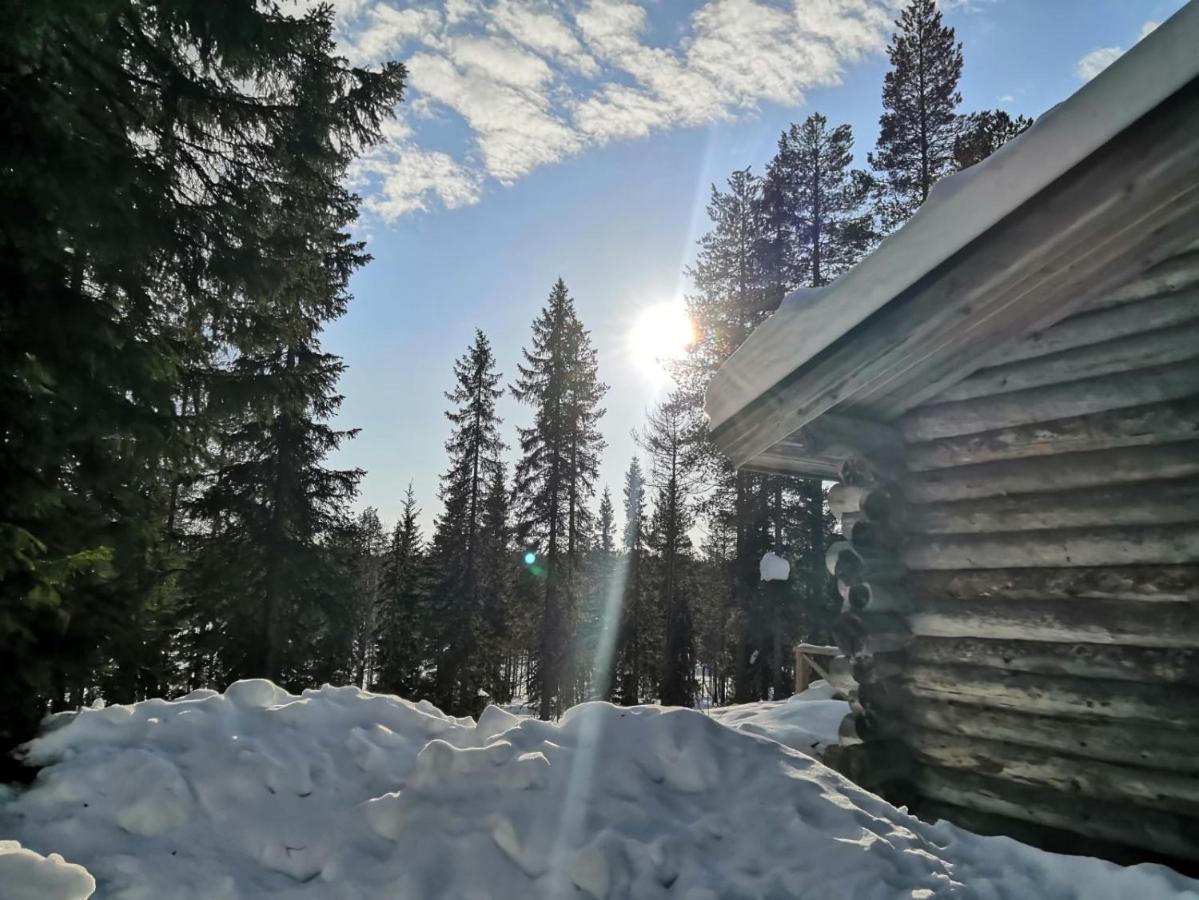 Mantytupa Lodge Syote Exterior photo
